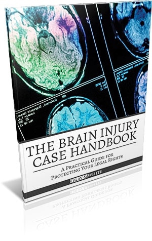 The Brain Injury Case Handbook - Test